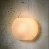 Настенный светильник Lagan 20226/25/61 40Вт фото 2