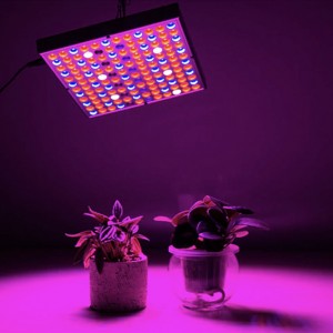 Светильник для растений светодиодный EL-FITO-25 25 Вт