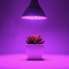 Светодиодная лампа для растений Е27 EL-FITO-LED 10W фото 4